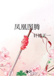 《凤凰图腾》