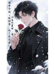 被争夺的s级向导，成了我老婆？